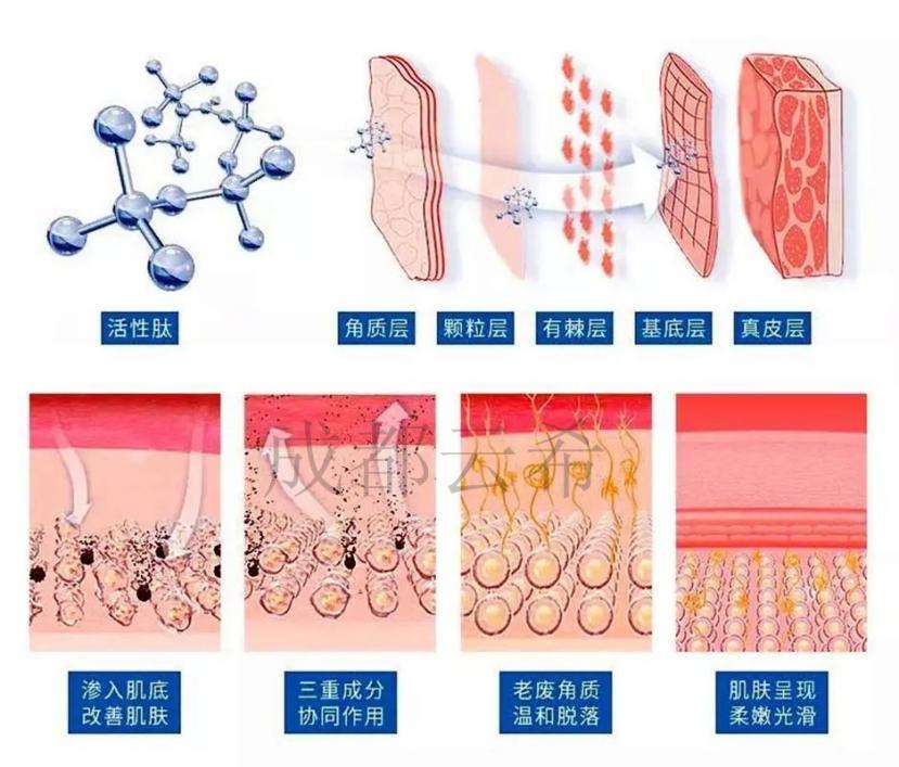 棕榈酰二肽-17Palmitoyl Dipeptide-17皮肤调理剂