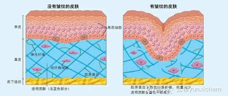 六肽-18 Hexapeptide-18 护发原料的神奇妙用